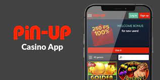 КРАТКАЯ ИНФОРМАЦИЯ О ВЕБ-САЙТЕ УЧРЕЖДЕНИЯ ИГОРНЫХ ОРГАНИЗАЦИЙ PIN UP